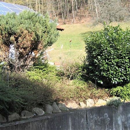 Ferienwohnung Burgblick Seelbach  Zewnętrze zdjęcie