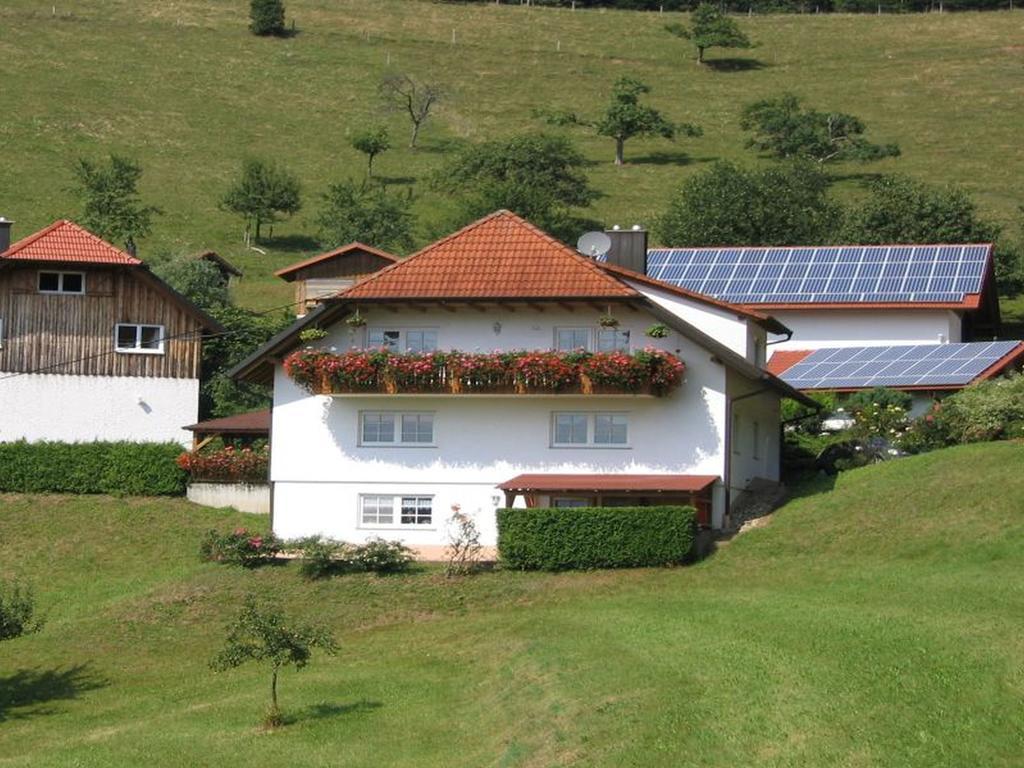 Ferienwohnung Burgblick Seelbach  Zewnętrze zdjęcie