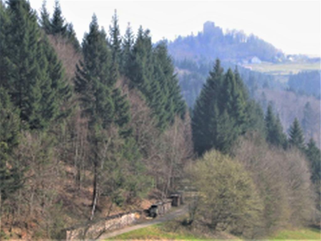 Ferienwohnung Burgblick Seelbach  Zewnętrze zdjęcie