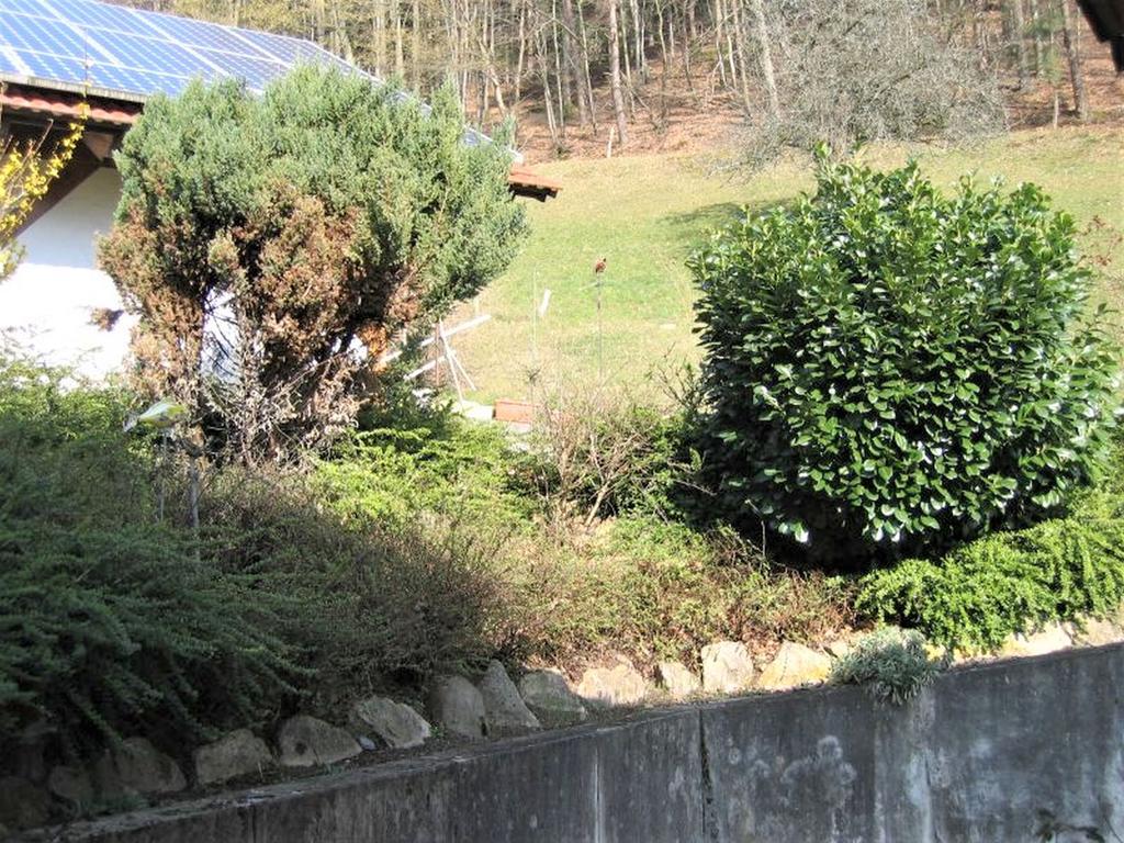 Ferienwohnung Burgblick Seelbach  Zewnętrze zdjęcie